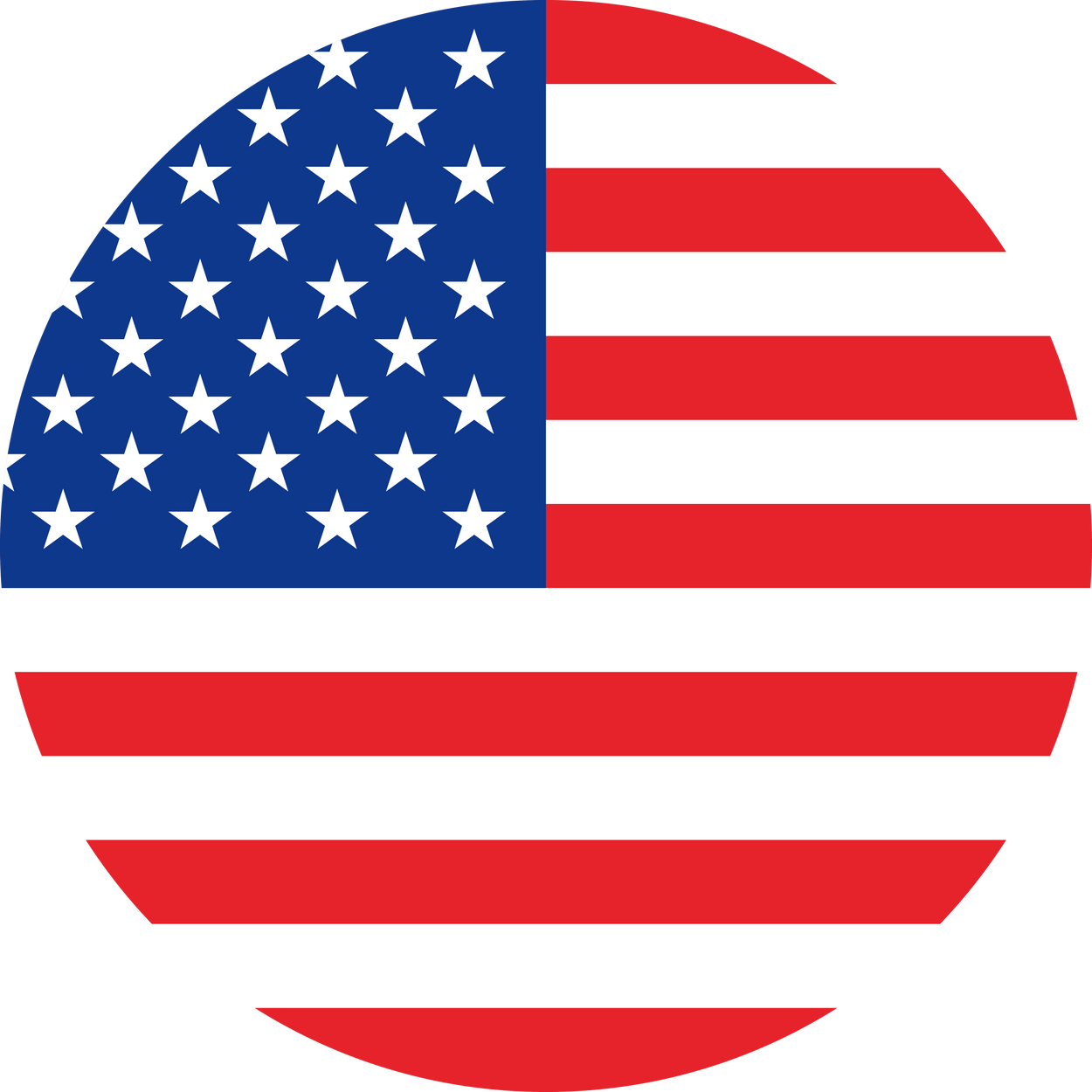 USA Flag Round Icon